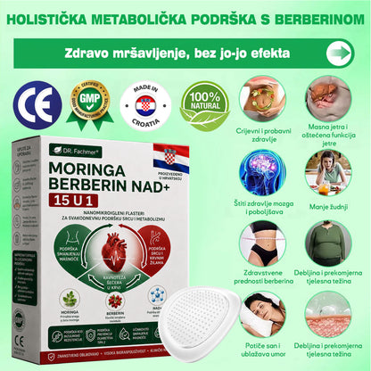 💡DR.Fachmer® Moringa Berberin NAD+ 15-u-1 Nano-mikroigleni Flaster | Nova generacija njege tijela s naprednom nano formulom💡