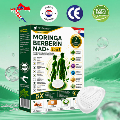 📗DR.Fachmer® Moringa Berberin NAD+ 15-u-1 Nano-mikroigleni Flaster | Nova generacija njege tijela s naprednom nano formulom