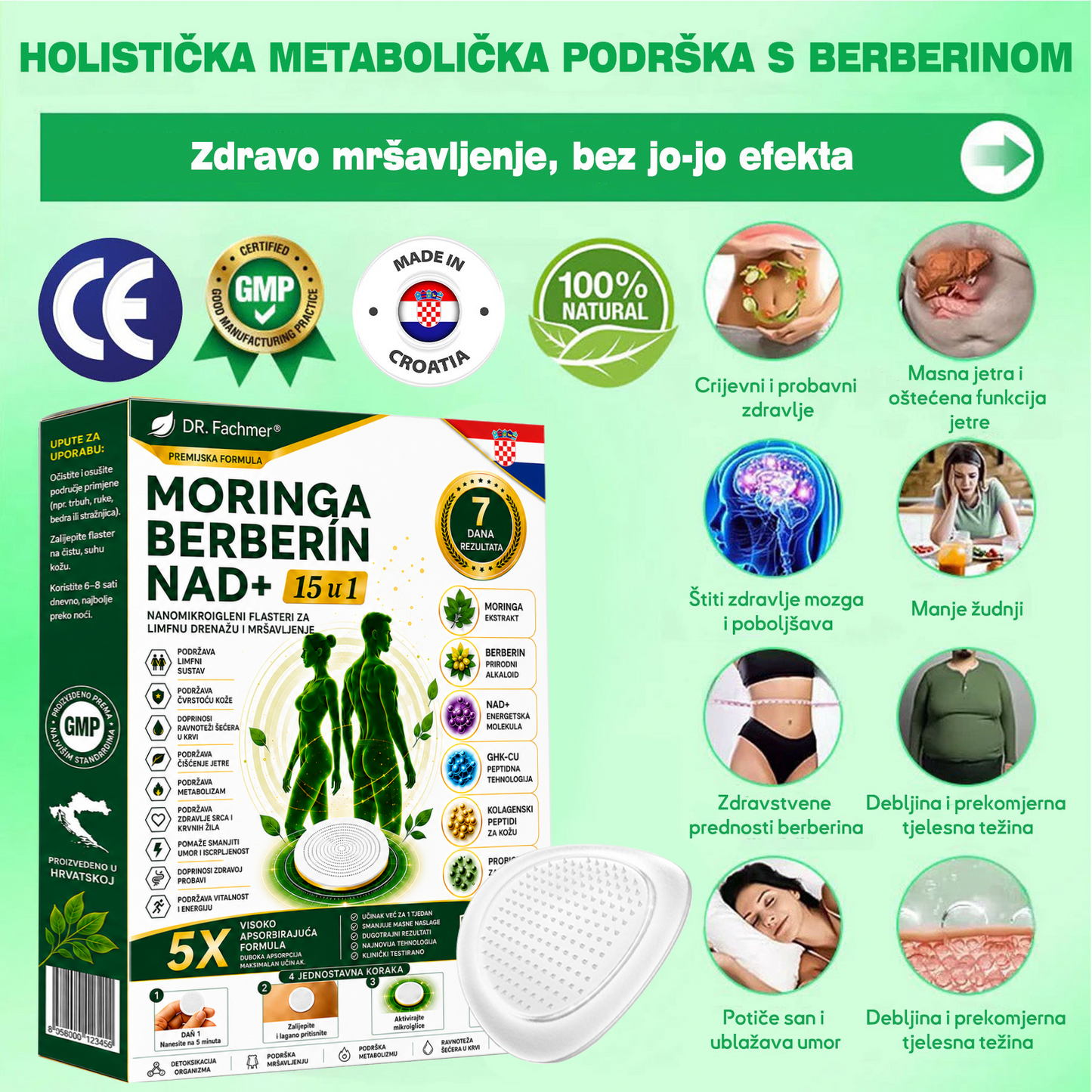📗DR.Fachmer® Moringa Berberin NAD+ 15-u-1 Nano-mikroigleni Flaster | Nova generacija njege tijela s naprednom nano formulom