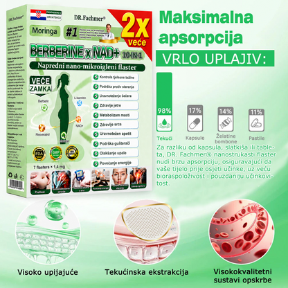 🍗DR.Fachmer® Moringa Berberin NAD+ 15-u-1 Nano-mikroigleni Flaster | Nova generacija njege tijela s naprednom nano formulom🍗