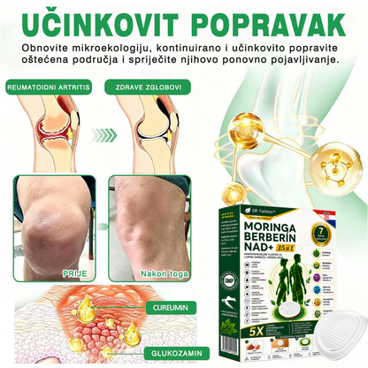 📗DR.Fachmer® Moringa Berberin NAD+ 15-u-1 Nano-mikroigleni Flaster | Nova generacija njege tijela s naprednom nano formulom