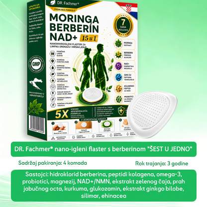 📗DR.Fachmer® Moringa Berberin NAD+ 15-u-1 Nano-mikroigleni Flaster | Nova generacija njege tijela s naprednom nano formulom