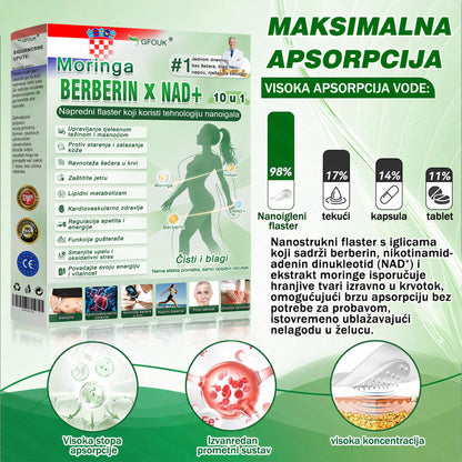 💡GFOUK® Moringa Berberin NAD+ 15-u-1 Nano-mikroigleni Flaster | Nova generacija njege tijela s naprednom nano formulom 💡